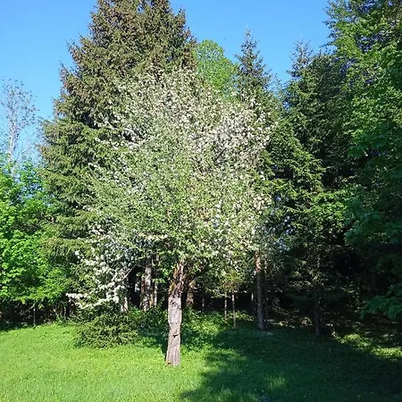 Шале Wind & Water Делнице