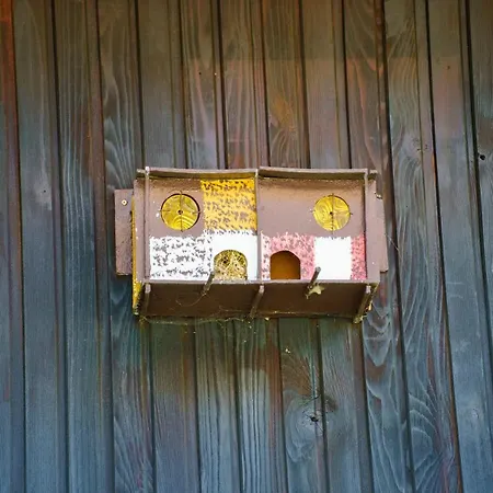 Wind & Water * Делнице