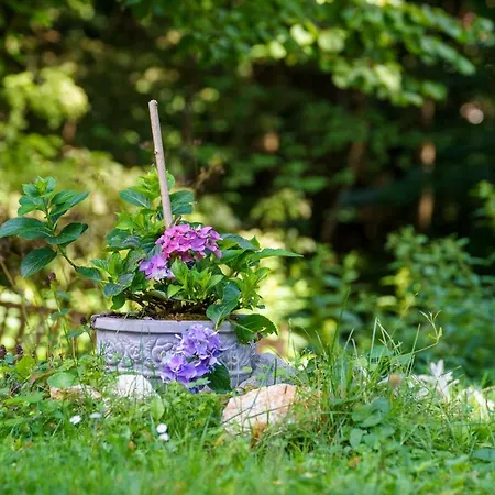 Wind & Water Шале Делнице