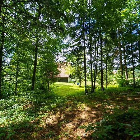 Wind & Water Делнице