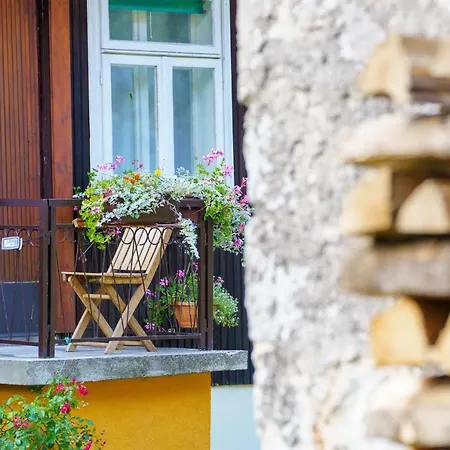 Wind & Water Делнице