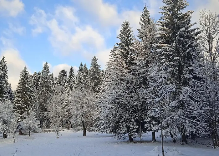 Wind & Water Delnice