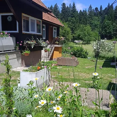 Wind & Water Delnice