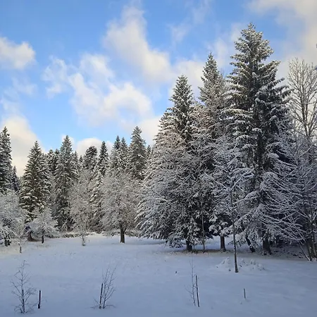 Wind & Water Delnice