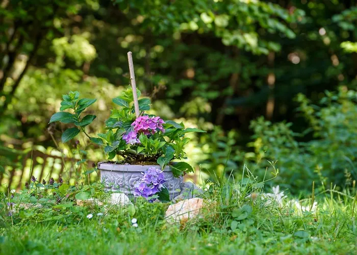 Wind & Water 木屋 代尔尼采